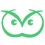 CourtVision logo